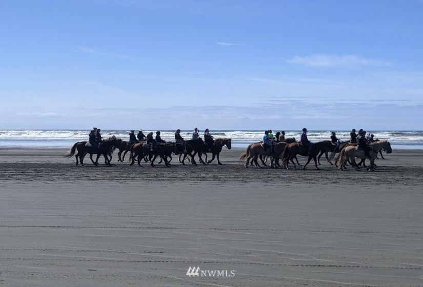 438 Dolphin, Ocean Shores, Washington 98569, 2 Bedrooms Bedrooms, ,1 BathroomBathrooms,Residential,For Sale,DIV 03,Dolphin,NWM1882586