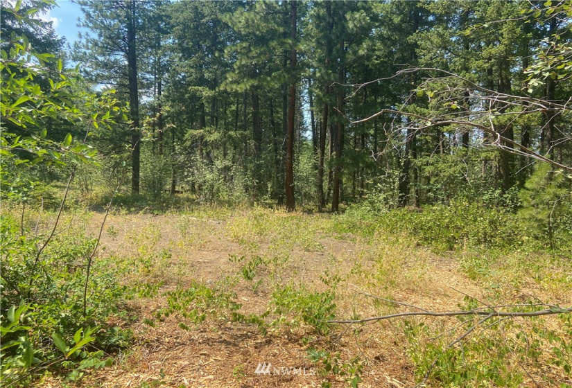26 Liberty Lane, Winthrop, Washington 98862, ,Land,For Sale,Liberty Woodlands PUD,Liberty Lane,NWM1884824