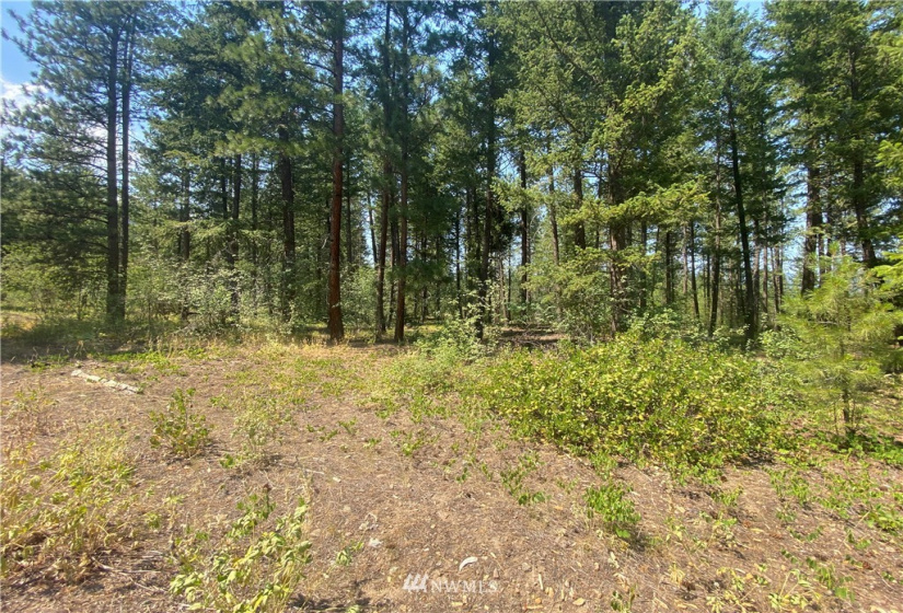 26 Liberty Lane, Winthrop, Washington 98862, ,Land,For Sale,Liberty Woodlands PUD,Liberty Lane,NWM1884824