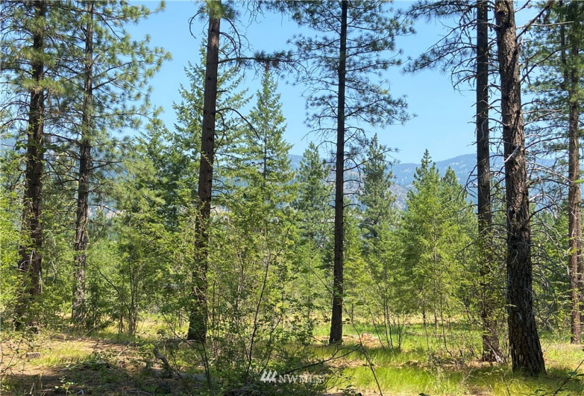 26 Liberty Lane, Winthrop, Washington 98862, ,Land,For Sale,Liberty Woodlands PUD,Liberty Lane,NWM1884824