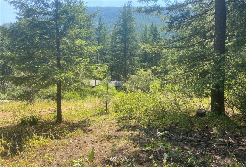 26 Liberty Lane, Winthrop, Washington 98862, ,Land,For Sale,Liberty Woodlands PUD,Liberty Lane,NWM1884824