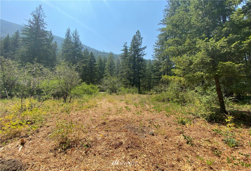 26 Liberty Lane, Winthrop, Washington 98862, ,Land,For Sale,Liberty Woodlands PUD,Liberty Lane,NWM1884824