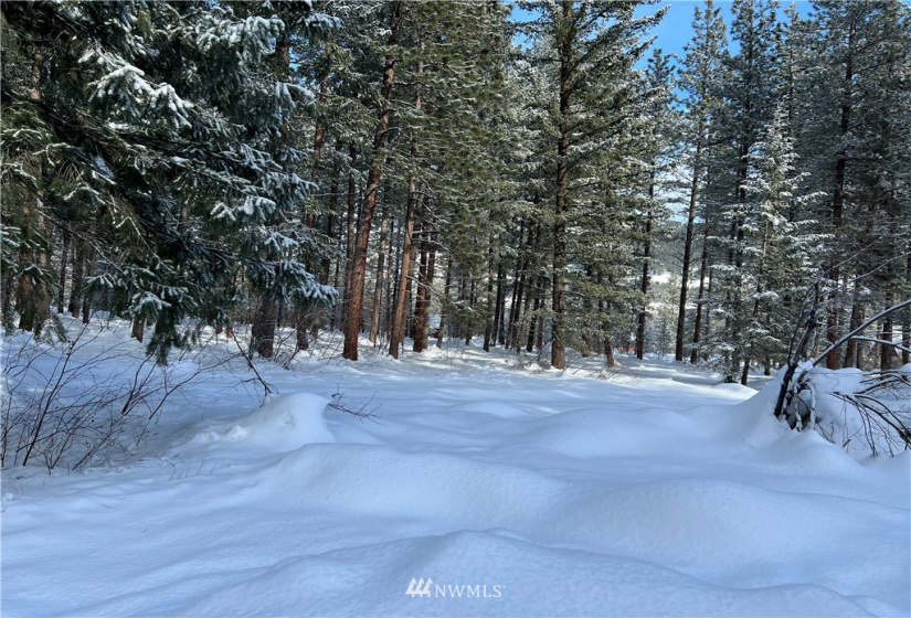 26 Liberty Lane, Winthrop, Washington 98862, ,Land,For Sale,Liberty Woodlands PUD,Liberty Lane,NWM1884824