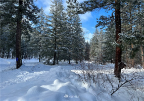 26 Liberty Lane, Winthrop, Washington 98862, ,Land,For Sale,Liberty Woodlands PUD,Liberty Lane,NWM1884824