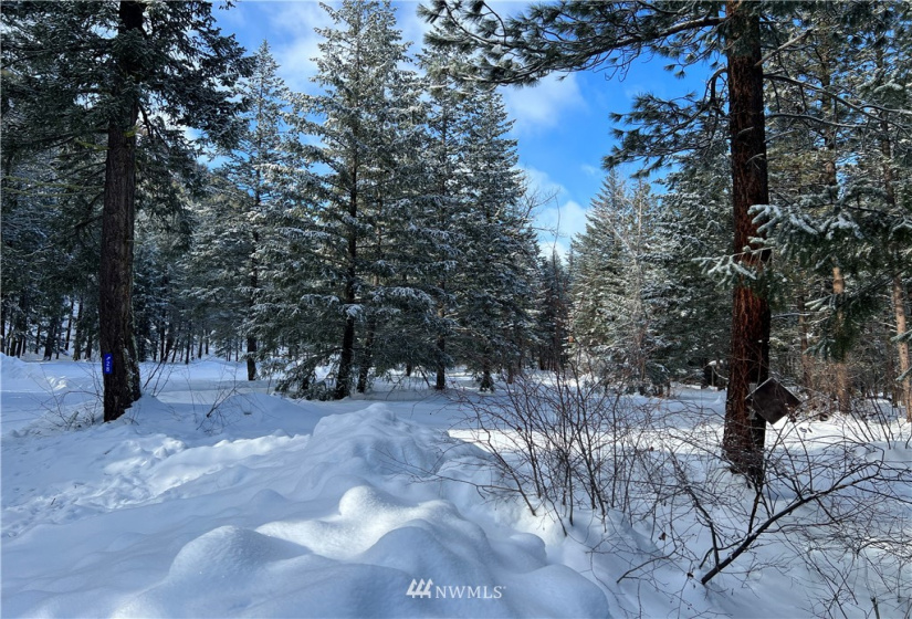26 Liberty Lane, Winthrop, Washington 98862, ,Land,For Sale,Liberty Woodlands PUD,Liberty Lane,NWM1884824