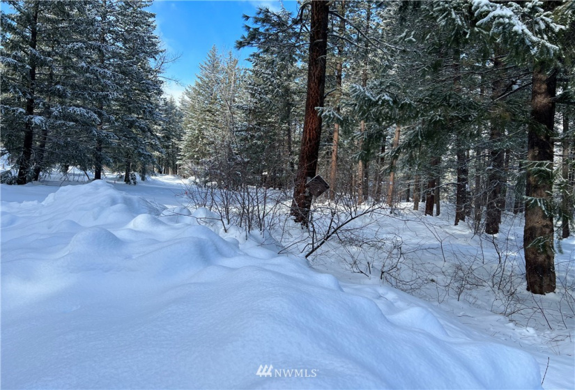 26 Liberty Lane, Winthrop, Washington 98862, ,Land,For Sale,Liberty Woodlands PUD,Liberty Lane,NWM1884824