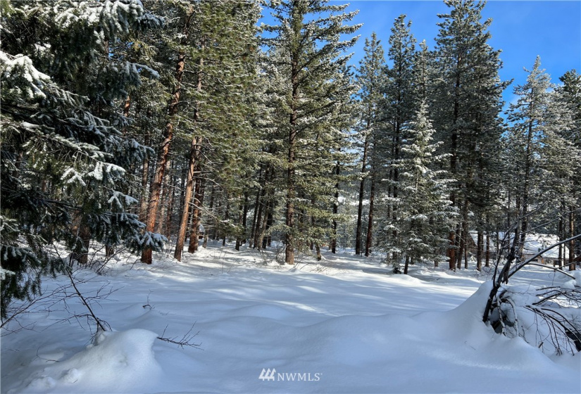 26 Liberty Lane, Winthrop, Washington 98862, ,Land,For Sale,Liberty Woodlands PUD,Liberty Lane,NWM1884824