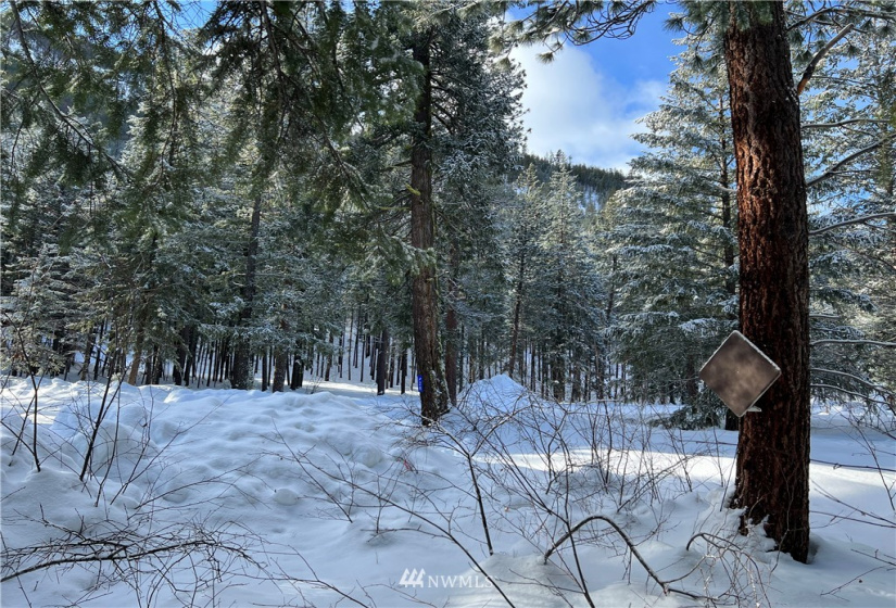 26 Liberty Lane, Winthrop, Washington 98862, ,Land,For Sale,Liberty Woodlands PUD,Liberty Lane,NWM1884824