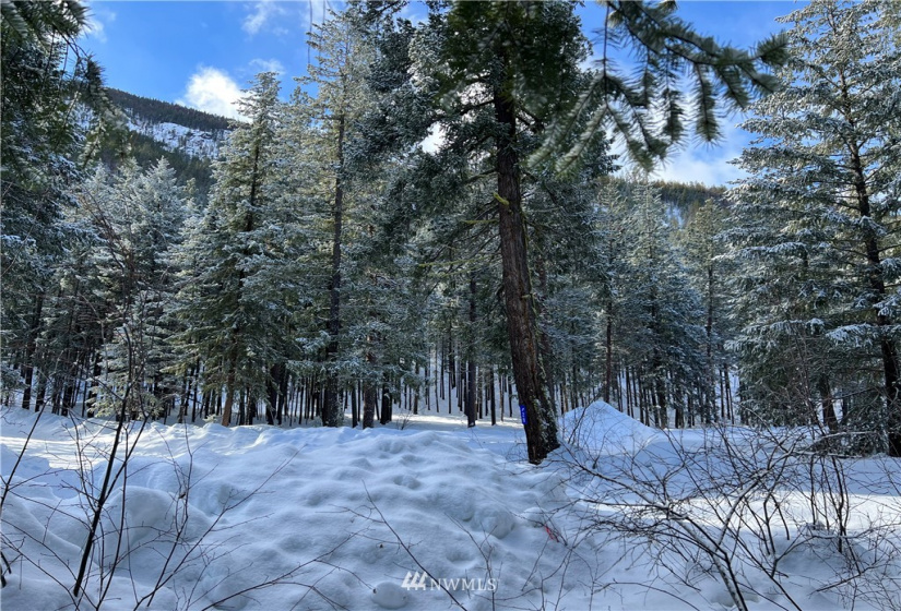 26 Liberty Lane, Winthrop, Washington 98862, ,Land,For Sale,Liberty Woodlands PUD,Liberty Lane,NWM1884824