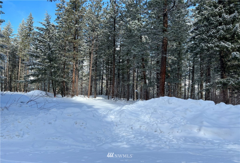 26 Liberty Lane, Winthrop, Washington 98862, ,Land,For Sale,Liberty Woodlands PUD,Liberty Lane,NWM1884824