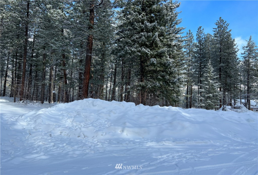 26 Liberty Lane, Winthrop, Washington 98862, ,Land,For Sale,Liberty Woodlands PUD,Liberty Lane,NWM1884824