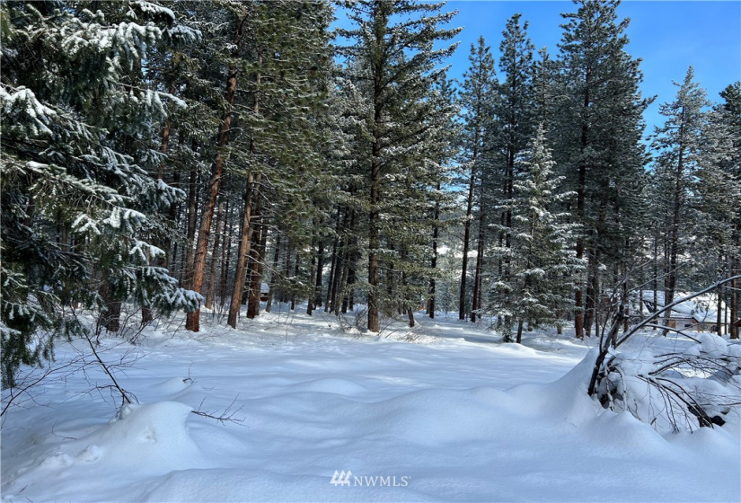 26 Liberty Lane, Winthrop, Washington 98862, ,Land,For Sale,Liberty Woodlands PUD,Liberty Lane,NWM1884824