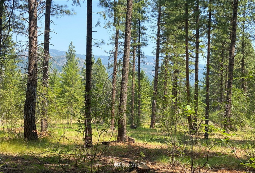 26 Liberty Lane, Winthrop, Washington 98862, ,Land,For Sale,Liberty Woodlands PUD,Liberty Lane,NWM1884824