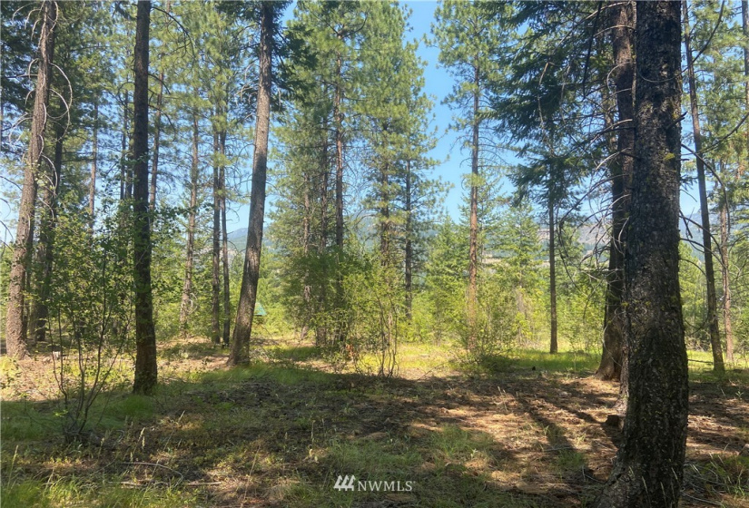 26 Liberty Lane, Winthrop, Washington 98862, ,Land,For Sale,Liberty Woodlands PUD,Liberty Lane,NWM1884824