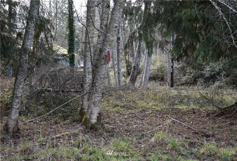60 Totten, Shelton, Washington 98584, ,Land,For Sale,Totten,NWM1884641