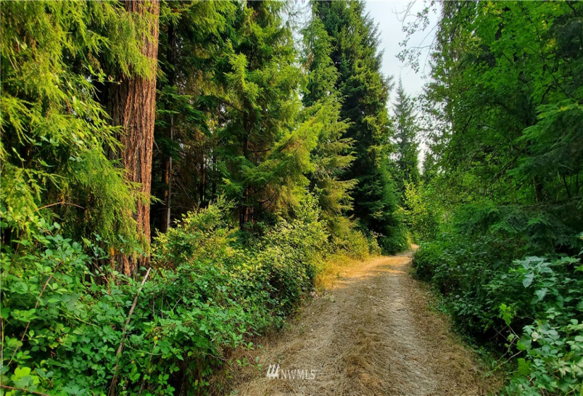 0 Grant Creek Rd., Arlington, Washington 98223, ,Land,For Sale,Grant Creek Rd.,NWM1883880