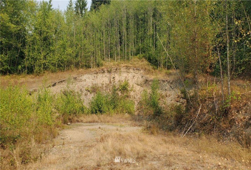 0 Grant Creek Rd., Arlington, Washington 98223, ,Land,For Sale,Grant Creek Rd.,NWM1883880