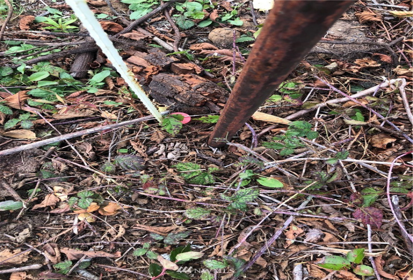 3210 241st, Ocean Park, Washington 98640, ,Land,For Sale,Rushlight Manor Estates,241st,NWM1852271