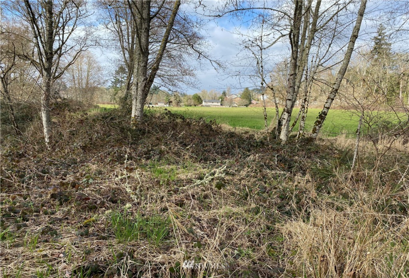 2633 Harris, Kelso, Washington 98626, ,Land,For Sale,Harris,NWM1863933