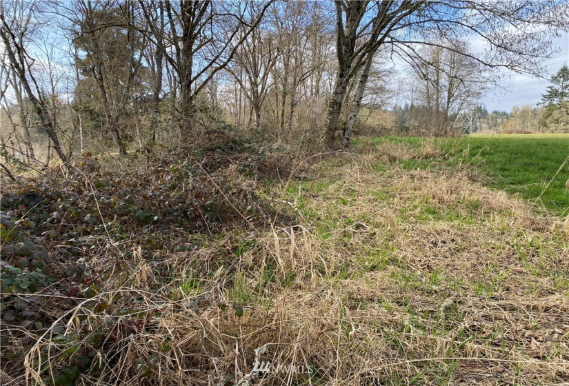 2633 Harris, Kelso, Washington 98626, ,Land,For Sale,Harris,NWM1863933