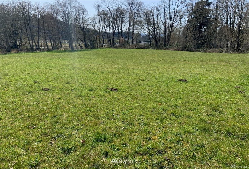 2633 Harris, Kelso, Washington 98626, ,Land,For Sale,Harris,NWM1863933