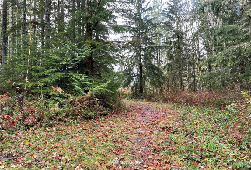 66 XB Woods Creek Road, Monroe, Washington 98272, ,Land,For Sale,Woods Creek Road,NWM1865421