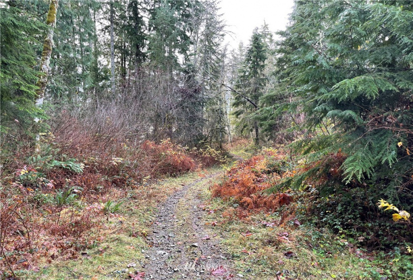 66 XB Woods Creek Road, Monroe, Washington 98272, ,Land,For Sale,Woods Creek Road,NWM1865421