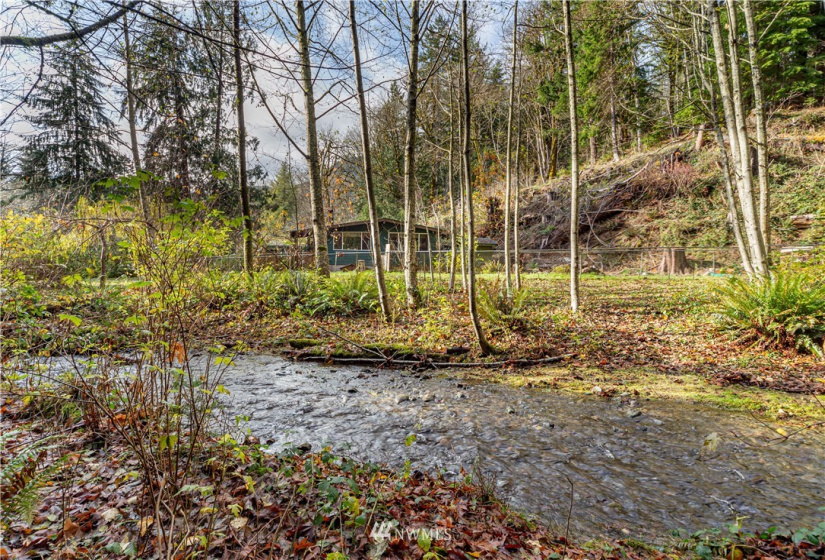 420 Duckabush, Brinnon, Washington 98320, 2 Bedrooms Bedrooms, ,1 BathroomBathrooms,Residential,For Sale,Duckabush,NWM1866257