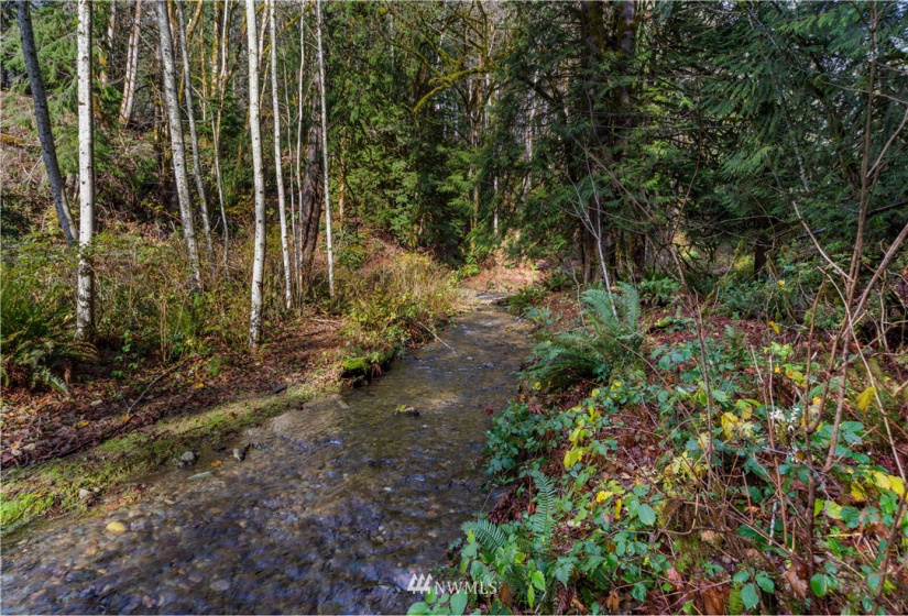 420 Duckabush, Brinnon, Washington 98320, 2 Bedrooms Bedrooms, ,1 BathroomBathrooms,Residential,For Sale,Duckabush,NWM1866257