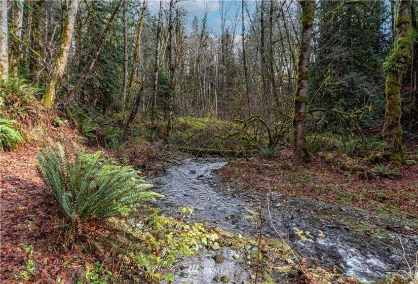 420 Duckabush, Brinnon, Washington 98320, 2 Bedrooms Bedrooms, ,1 BathroomBathrooms,Residential,For Sale,Duckabush,NWM1866257