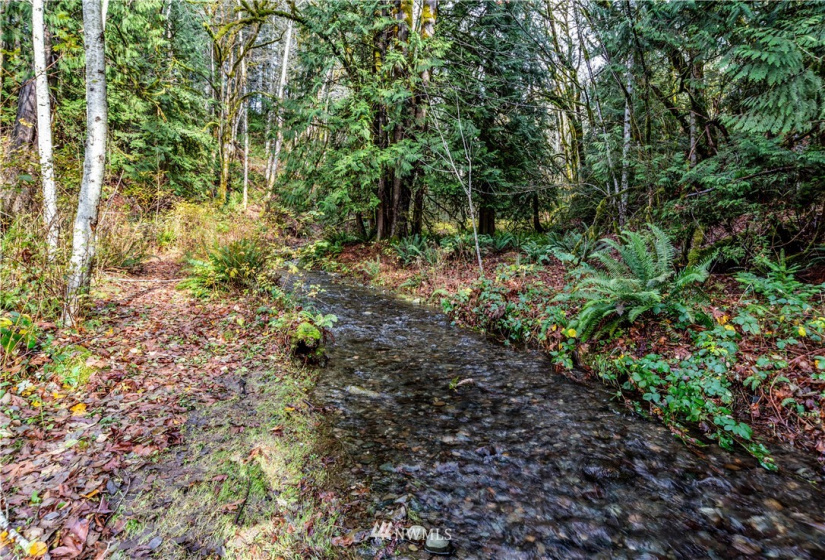 420 Duckabush, Brinnon, Washington 98320, 2 Bedrooms Bedrooms, ,1 BathroomBathrooms,Residential,For Sale,Duckabush,NWM1866257