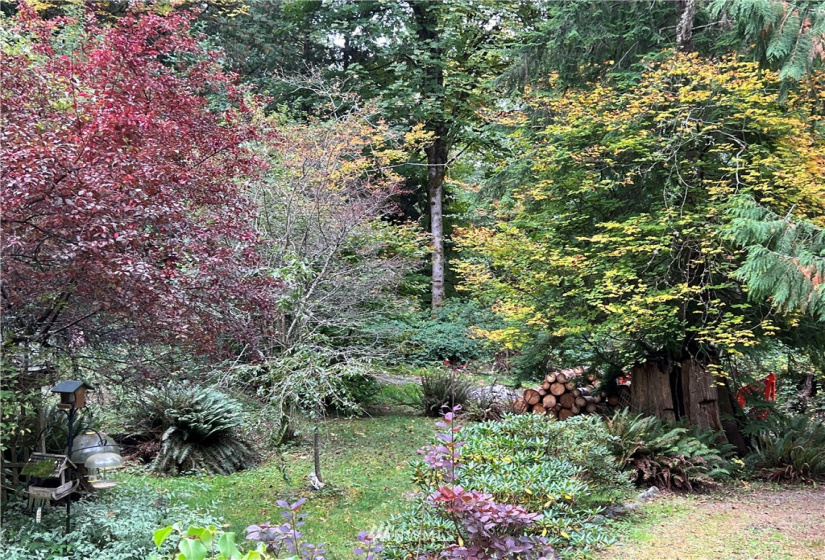 420 Duckabush, Brinnon, Washington 98320, 2 Bedrooms Bedrooms, ,1 BathroomBathrooms,Residential,For Sale,Duckabush,NWM1866257