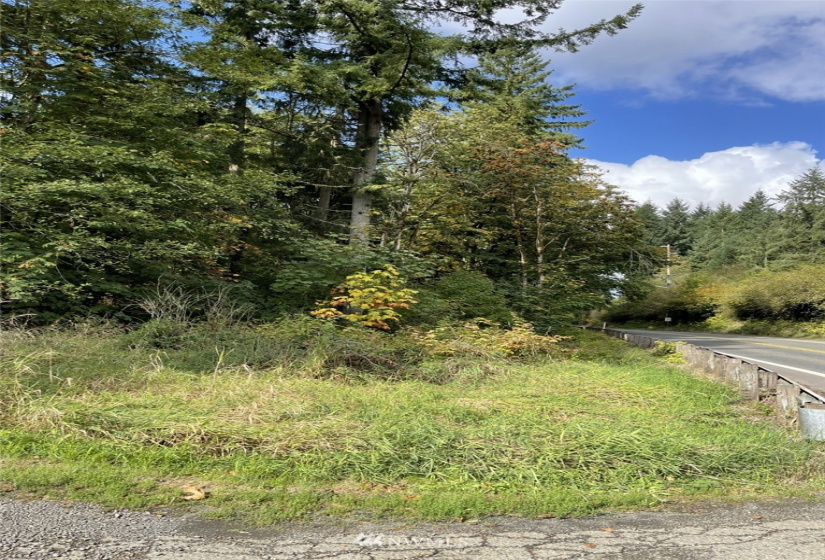 14015 Old Hwy 99, Tenino, Washington 98589, ,Land,For Sale,Old Hwy 99,NWM1862704