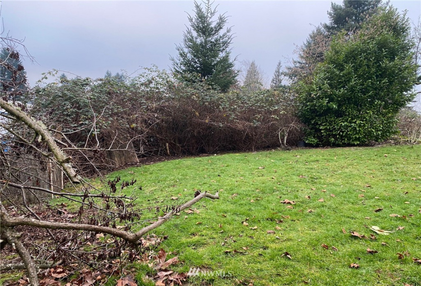 5302 22nd, Vancouver, Washington 98663, 3 Bedrooms Bedrooms, ,2 BathroomsBathrooms,Residential,For Sale,22nd,NWM1866106