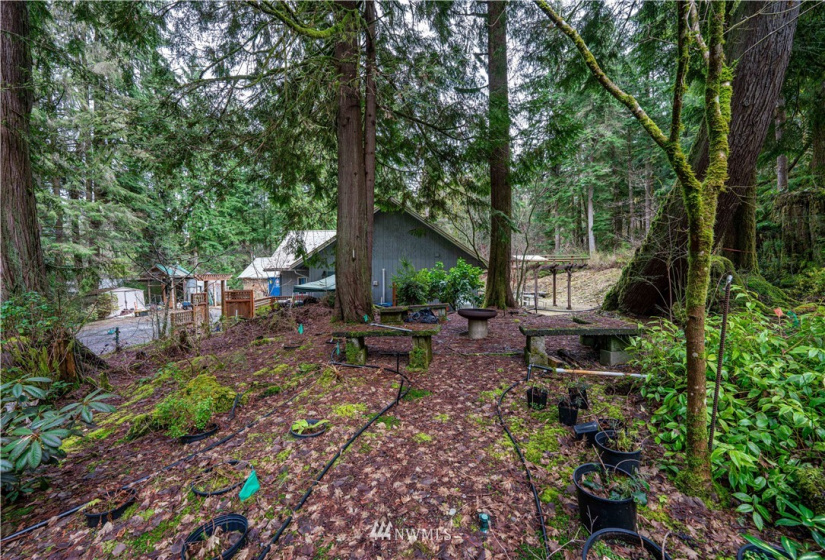 26424 174th, Monroe, Washington 98272, ,Land,For Sale,174th,NWM1866863