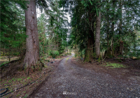 26424 174th, Monroe, Washington 98272, ,Land,For Sale,174th,NWM1866863