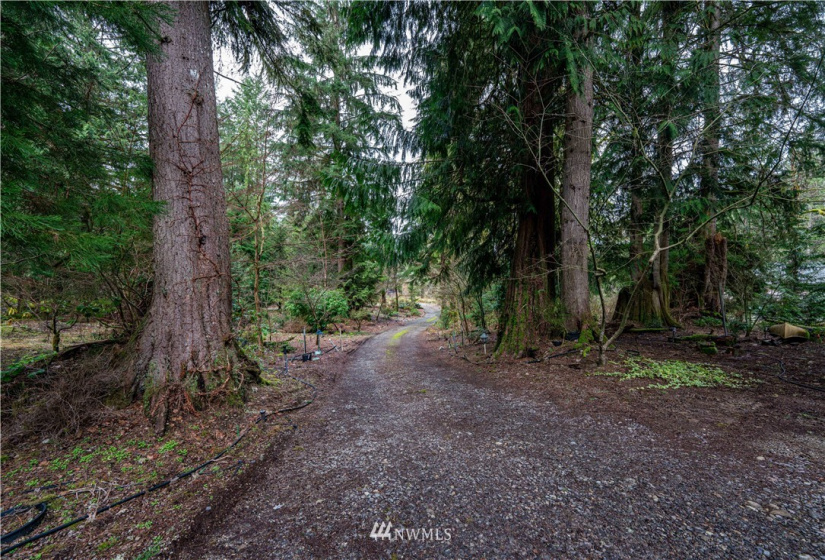 26424 174th, Monroe, Washington 98272, ,Land,For Sale,174th,NWM1866863