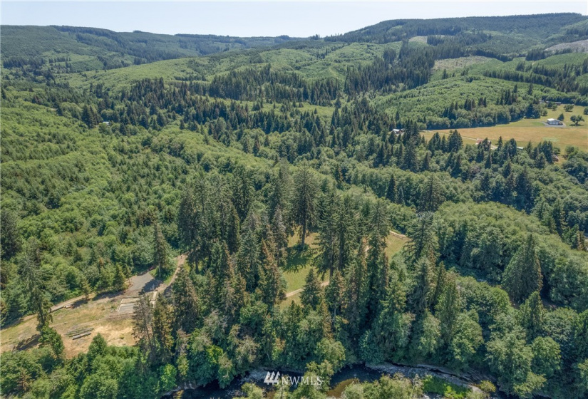 41 Spruce, Cathlamet, Washington 98612, ,Land,For Sale,Spruce,NWM1866690