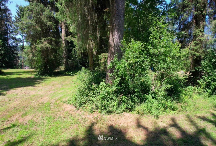 41 Spruce, Cathlamet, Washington 98612, ,Land,For Sale,Spruce,NWM1866690
