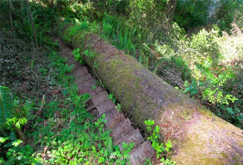 41 Spruce, Cathlamet, Washington 98612, ,Land,For Sale,Spruce,NWM1866690