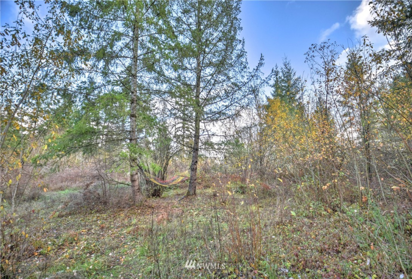 19619 83rd, Spanaway, Washington 98387, 3 Bedrooms Bedrooms, ,2 BathroomsBathrooms,Residential,For Sale,83rd,NWM1868567