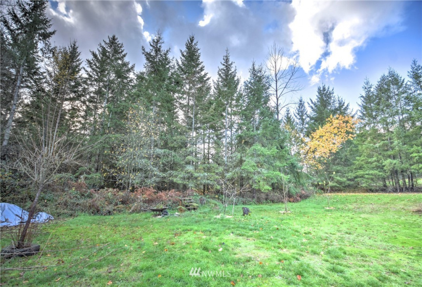 19619 83rd, Spanaway, Washington 98387, 3 Bedrooms Bedrooms, ,2 BathroomsBathrooms,Residential,For Sale,83rd,NWM1868567