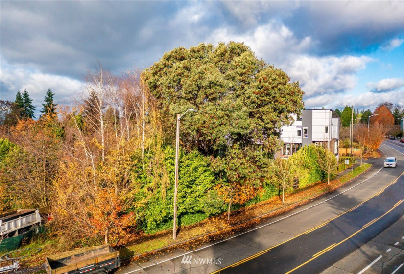 6311 Fauntleroy, Seattle, Washington 98136, ,Land,For Sale,Fauntleroy,NWM1868611