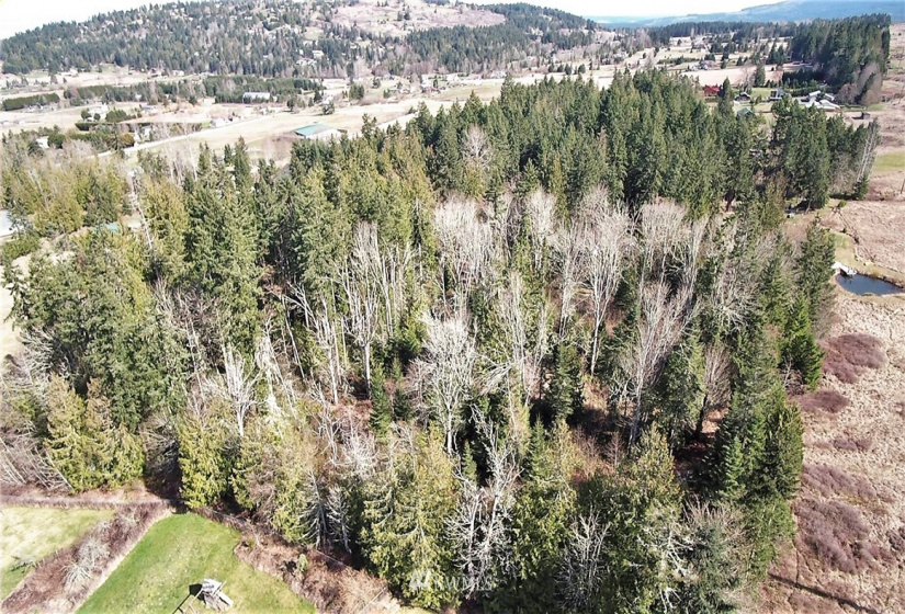 9999 Bonneville, Sequim, Washington 98382, ,Land,For Sale,Happy Valley,Bonneville,NWM1871650