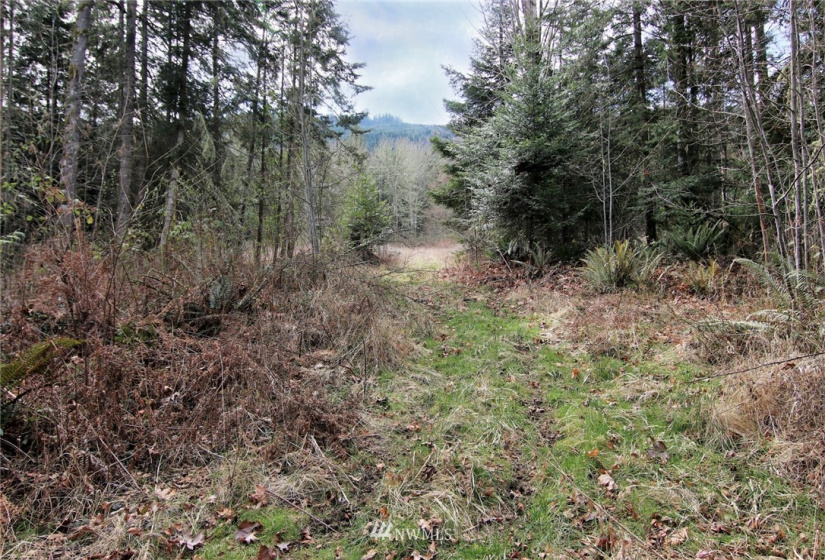 9999 Bonneville, Sequim, Washington 98382, ,Land,For Sale,Happy Valley,Bonneville,NWM1871650