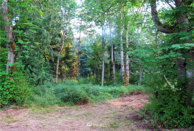 9999 Bonneville, Sequim, Washington 98382, ,Land,For Sale,Happy Valley,Bonneville,NWM1871650