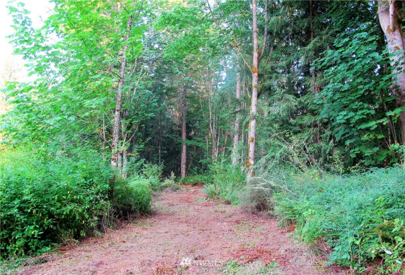 9999 Bonneville, Sequim, Washington 98382, ,Land,For Sale,Happy Valley,Bonneville,NWM1871650