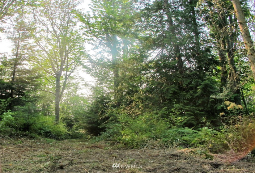 9999 Bonneville, Sequim, Washington 98382, ,Land,For Sale,Happy Valley,Bonneville,NWM1871650