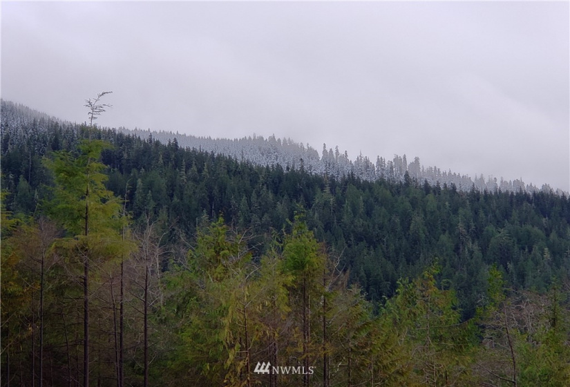 17 Burn, Humptulips, Washington 98552, ,Land,For Sale,Burn,NWM1871983