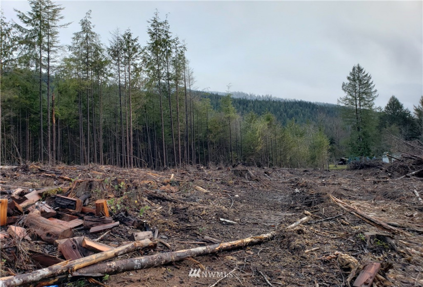 17 Burn, Humptulips, Washington 98552, ,Land,For Sale,Burn,NWM1871983